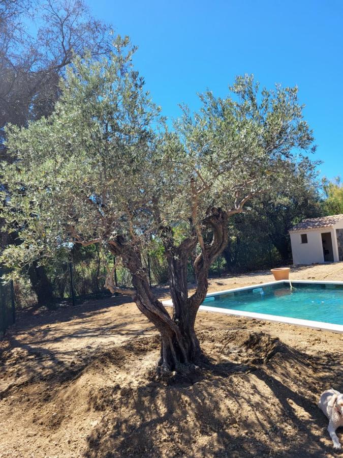 אובינן Villa Gitedelea מראה חיצוני תמונה